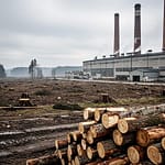 Viscose “écologique” ? Ce que vos vêtements en bois ne vous disent pas Viscose “écologique” Ce que vos vêtements en bois ne vous disent pas