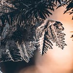 Masaru Emoto et les Messages de l'Eau : Une Révolution dans Notre Compréhension de l'Eau Masaru Emoto et les Messages de l'Eau Une Révolution dans Notre Compréhension de l'Eau