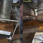 Scandale Ÿnsect: la ferme d’insectes “écolo” où il pleuvait des larves et des millions publics Scandale Ÿnsect la ferme d’insectes “écolo” où il pleuvait des larves et des millions publics