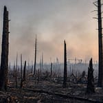 Feux de forêt et projets déjà prêts: ces étranges coïncidences... Feux de forêt et projets déjà prêts: ces étranges coïncidences...