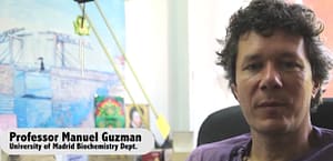 Le cannabis et ses propriétés anticancéreuses ce que révèlent les recherches scientifiques