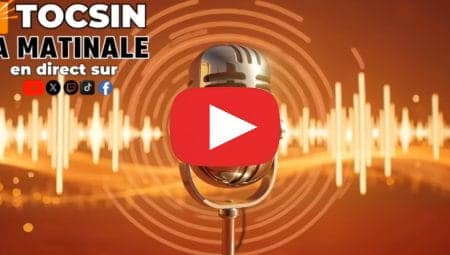 tcsin 28eme état de l'UE numérique (1)