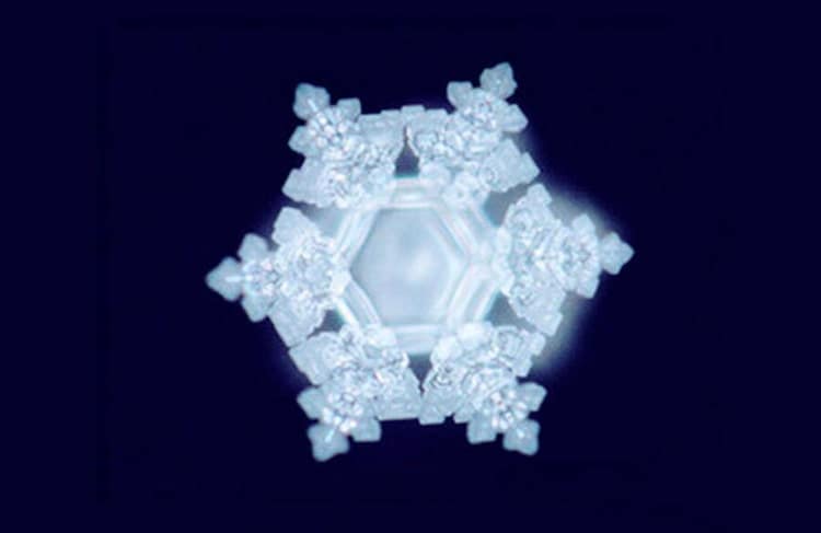 Les Messages de l'Eau Masaru Emoto