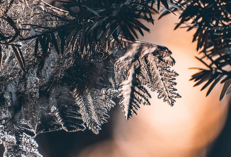 Masaru Emoto et les Messages de l'Eau Une Révolution dans Notre Compréhension de l'Eau