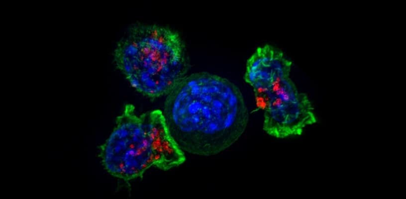 Jean Solomidès et les péroxydases Le remède contre le cancer supprimé